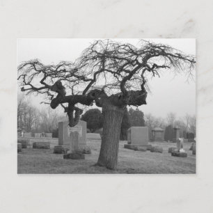 Carte postale du cimetière