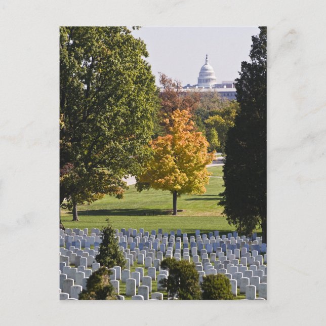 Carte postale du cimetière national Arlington (Devant)