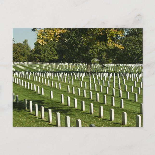 Carte postale du cimetière national Arlington (Devant)