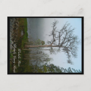 Carte postale du comté de Wakulla en Floride