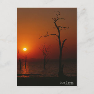 Carte postale du coucher de soleil du lac Kariba