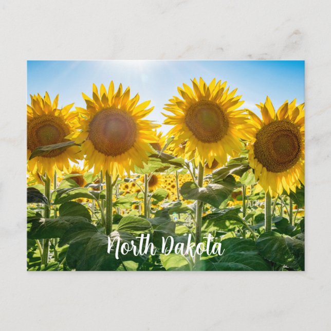 Carte postale du Dakota du Nord (Devant)