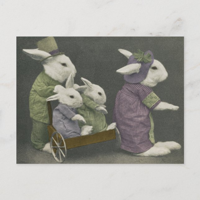 Carte postale du dimanche Bunnies (Devant)