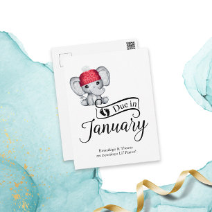 Carte Postale Dû en Janvier Petit Arachide bébé éléphant