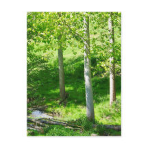 Carte postale du feuillage de printemps