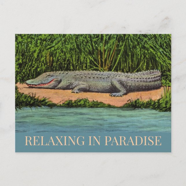 Carte postale du Gator de Floride décontracté (Devant)