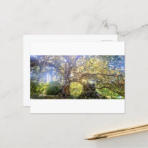 Carte postale du Grand Feuillus