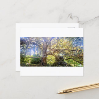 Carte postale du Grand Feuillus