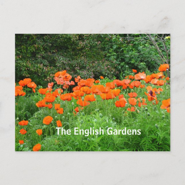 Carte postale du jardin anglais (Devant)
