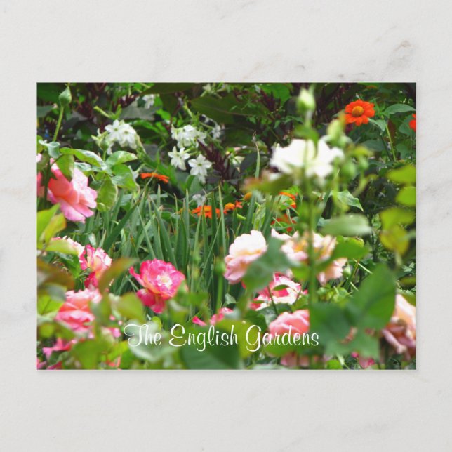 Carte postale du jardin anglais (Devant)