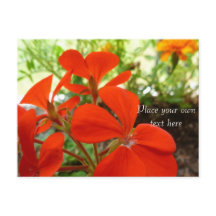 carte postale du jardin de fleurs