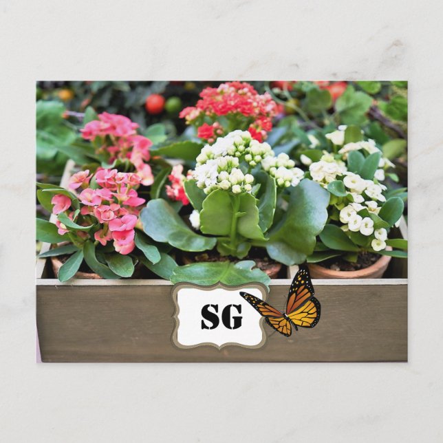 Carte postale du jardin de fleurs de monogramme (Devant)