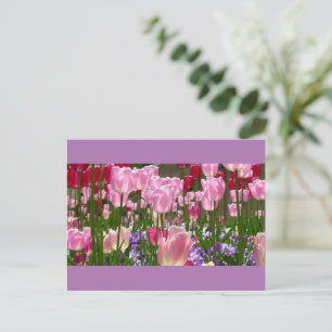 Carte postale du jardin de tulipes