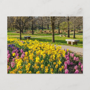 Carte postale du jardin des fleurs de printemps