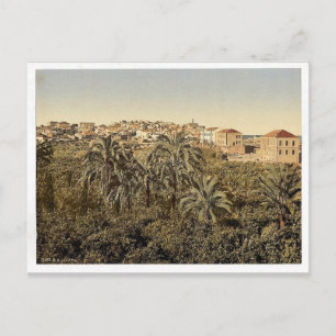 Carte Postale Du jardin, Jaffa, Terre Sainte, (Israël) c