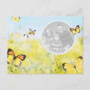 Carte postale du jardin papillon