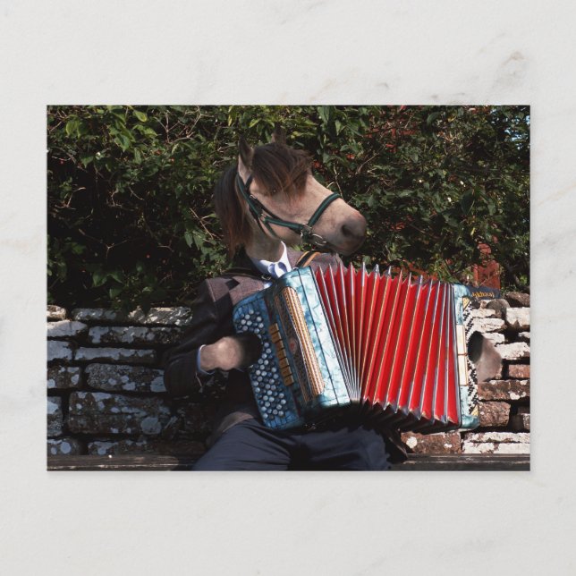 Carte postale du joueur d'accordéon (Devant)