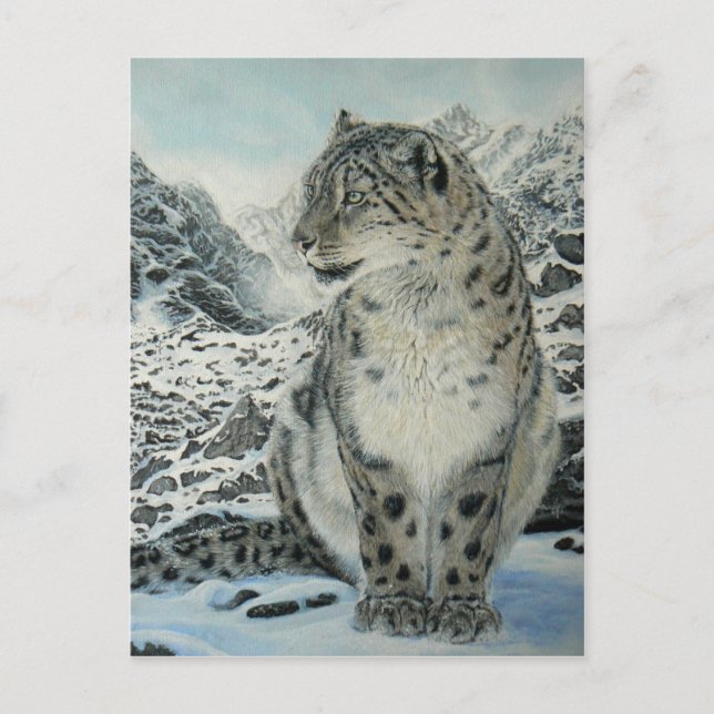 Carte postale du King Snow Leopard du Sommet (Devant)