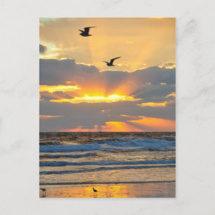 Carte postale du lever de soleil sur la plage par 