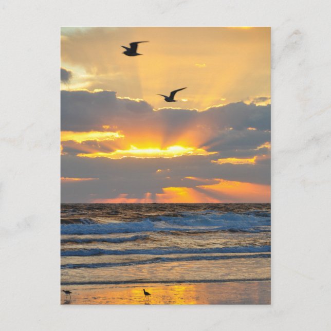 Carte postale du lever de soleil sur la plage par  (Devant)