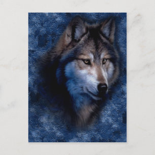Carte postale du loup bleu