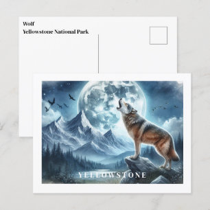 Carte postale du loup de Yellowstone