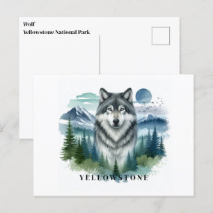Carte postale du loup de Yellowstone