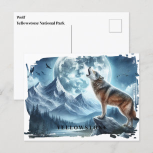 Carte postale du loup de Yellowstone