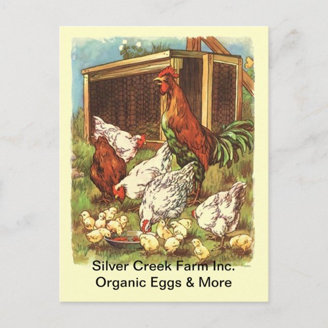Carte postale du marché des poulets de poulet bio  (Devant)