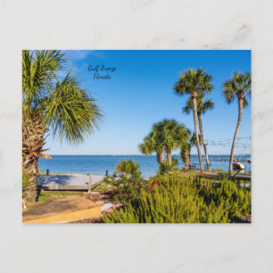 Carte postale du matin à Bayside avec des palmiers