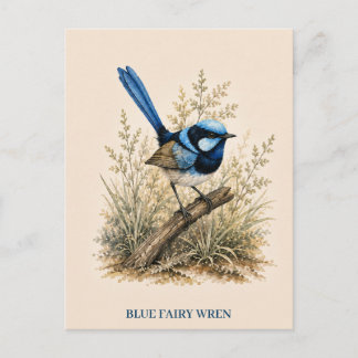 Carte postale du Mérion à dos bleu | Édition Bush