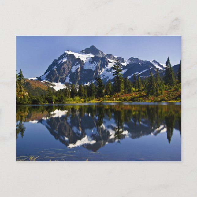 Carte postale du mont Shuksan (Devant)