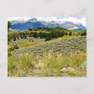 Carte postale du Montana