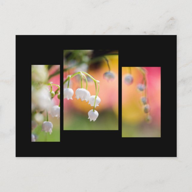 Carte postale du muguet (Devant)