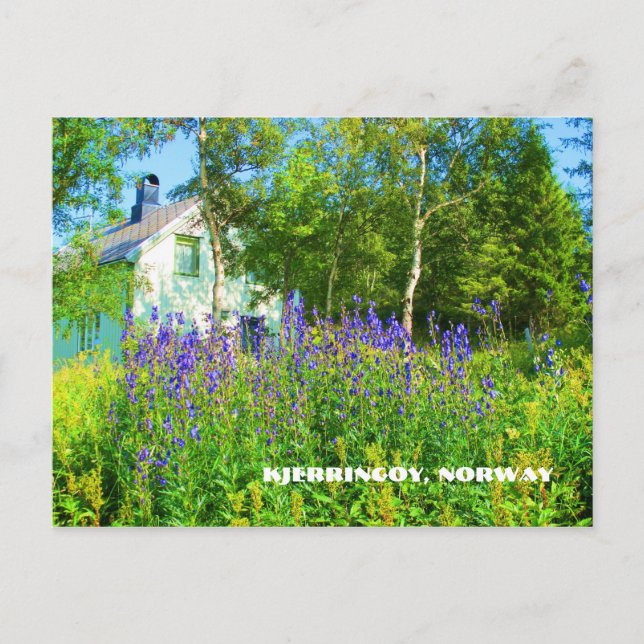 Carte postale du nord de la Norvège (Devant)