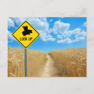 Carte postale du panneau du cochon volant