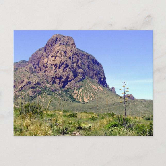 Carte postale du parc national Big Bend (Devant)