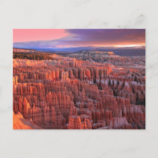 Carte postale du parc national Bryce Canyon (Devant)