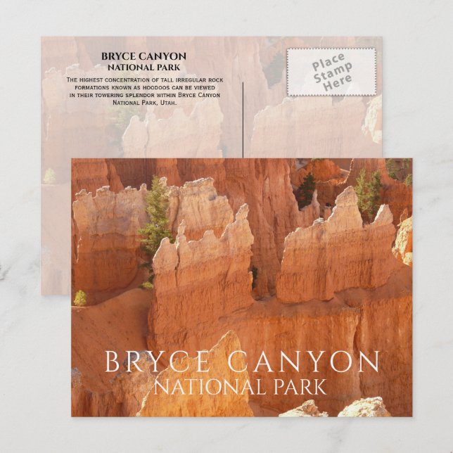 Carte postale du parc national de Bryce Canyon rep (Devant / Derrière)