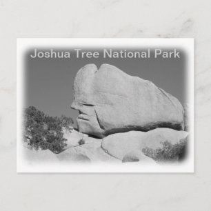 Carte postale du parc national de Joshua Tree !