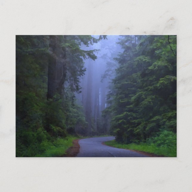 Carte postale du parc national de Misty Redwood (Devant)