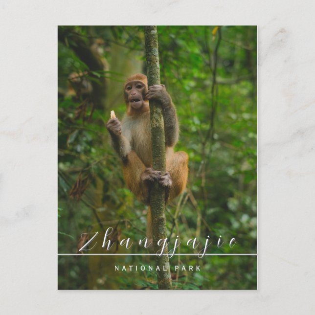 Carte postale du parc national de Zhangjajie (Devant)