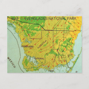 Carte postale du Parc national des Everglades