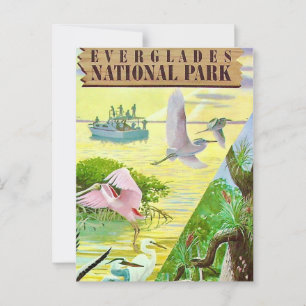 Carte postale du Parc national des Everglades