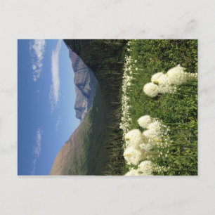 Carte postale du parc national du Glacier de l'Her