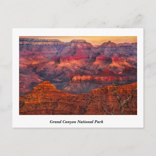 Carte postale du parc national du Grand Canyon (Devant)