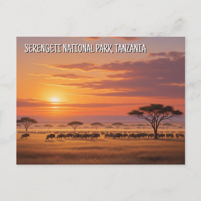 Carte postale du Parc national du Serengeti en Tan (Devant)