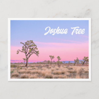 Carte postale du Parc national Joshua Tree Sunset