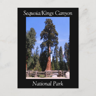 Carte postale du parc national Sequoia Kings Canyo