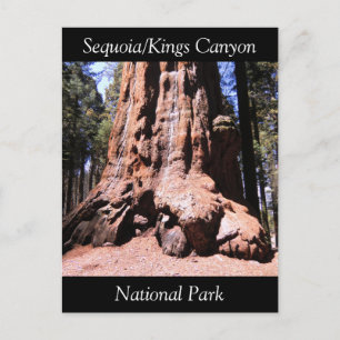Carte postale du parc national Sequoia Kings Canyo